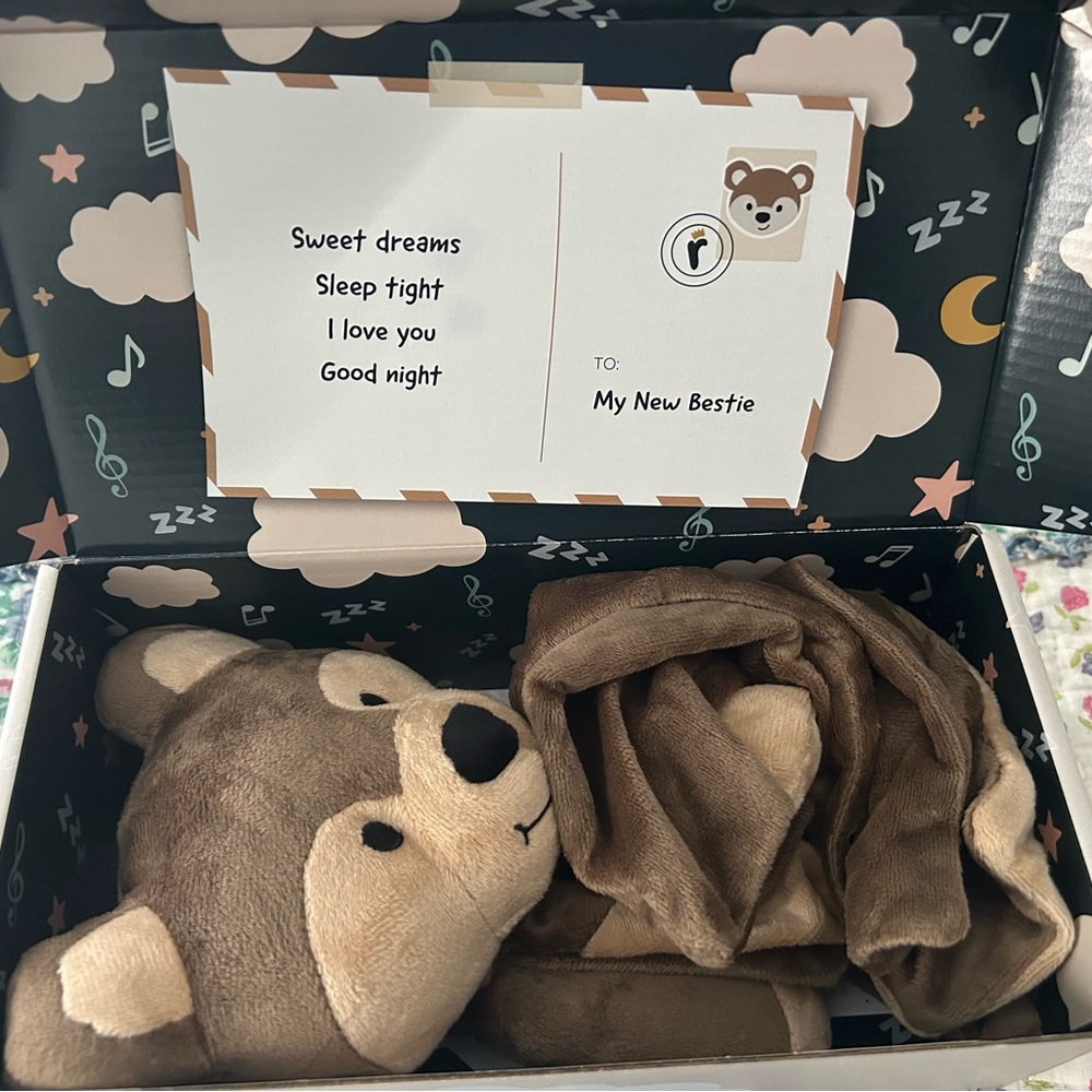 NIB Riff Raff Sleep Soothing Toy for Baby - Banjo the Bear